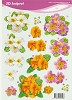 3D - Knipvel - Bloemen - Voorbeeldkaarten 2450
