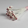 Meeldraden druppel Wit-Rood