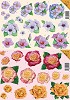 Push Out Duo - Bloemen - PO-1023-1024