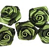 Bicolor Roosjes - Groen