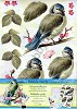 Schommelkaart - Studiolight - Vogel
