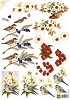 Knipvel 3D - Marianne Design (Mattie de Bruine) - Vogels en Bloemen - MB0131