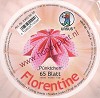 Origami / Vouwblaadjes - Florentine - P�nktchen / Dots  - � 10 cm - Ursus - 2363 96 02