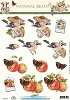stappenvel - 11053-310