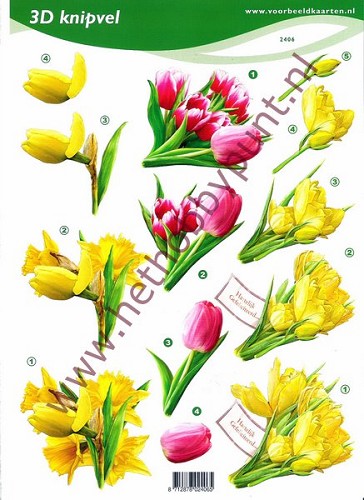 3D - Knipvel - Tulpen